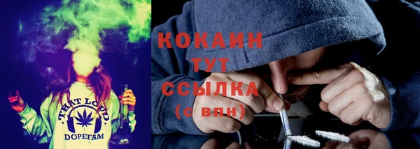 дмт Аркадак